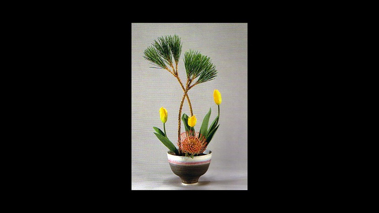 shouchiyomatu